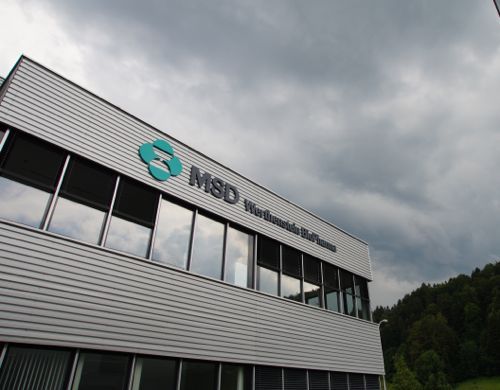 MSD-firma-farmaceutyczna